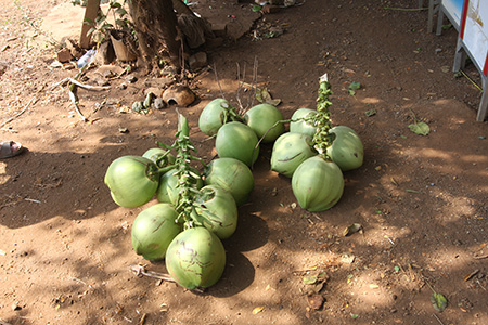 2010