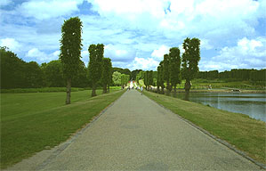 1251-23