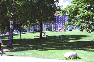 1253-4