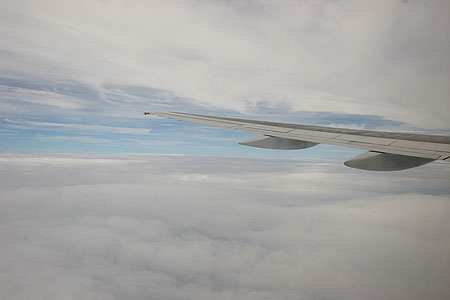 flight_3155