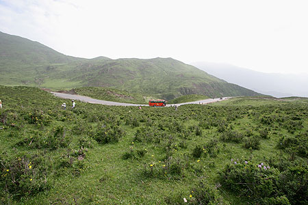 pass_3483