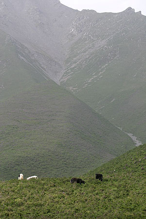 scenery_0568