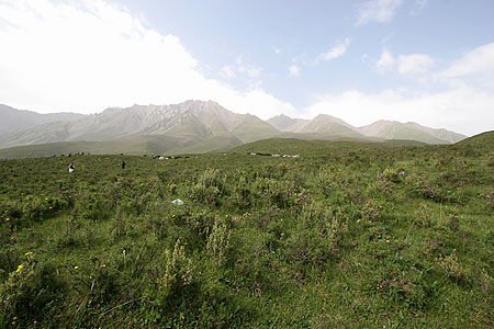 view_3487