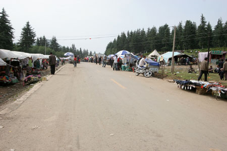 street_3498