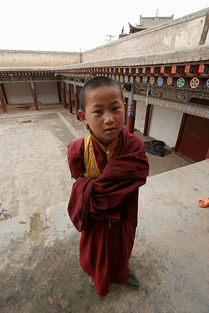 25_boy_3536
