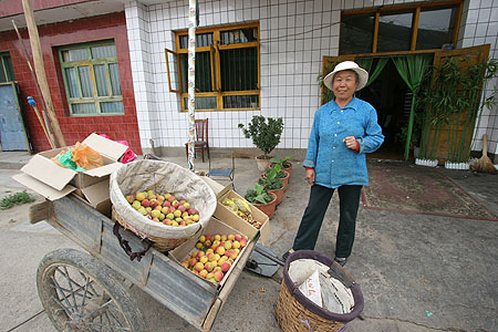 11_peddler