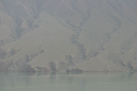 14_koga_0761