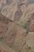 16_pasturage_0777