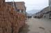 14_tong_ren_0825