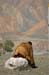 40_bonze_0903