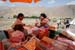 41_stall_3628