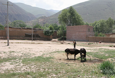 11_village
