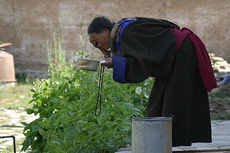 26_purification_0954